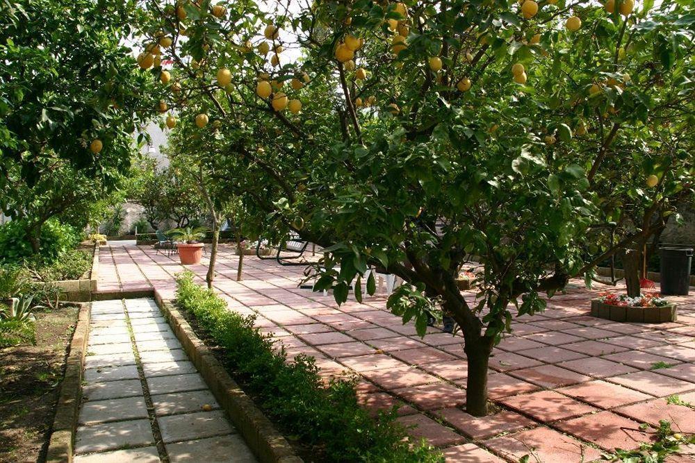 Villa Alviani Anna Sorrento Luaran gambar