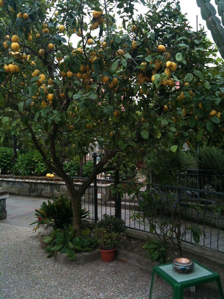 Villa Alviani Anna Sorrento Luaran gambar